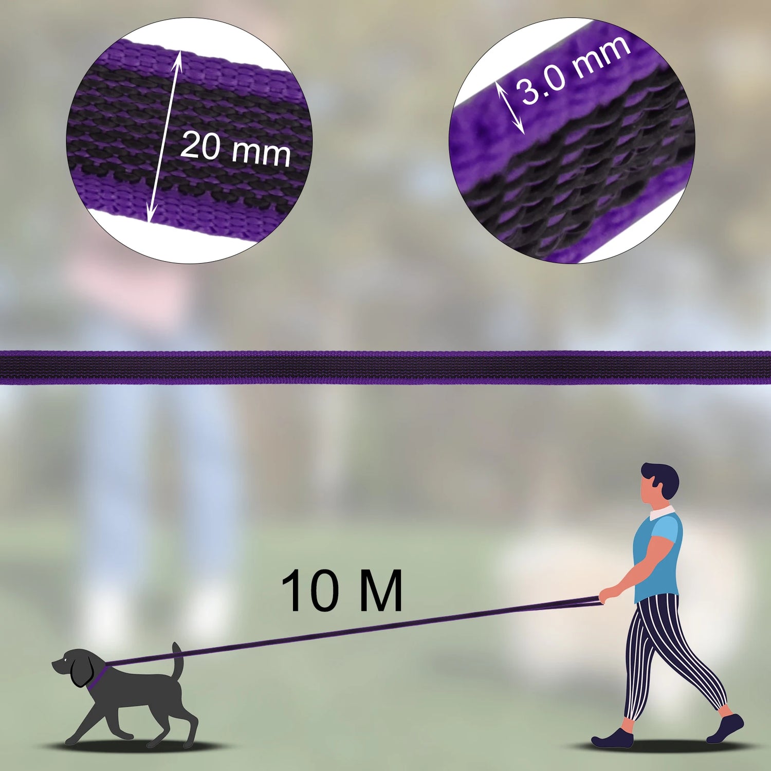 10M adjustable dog training leash with 20 mm wide, 3.0 mm thick purple strap for controlled dog walking and training