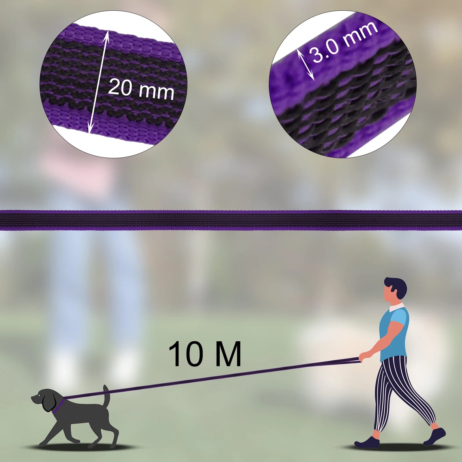 10M adjustable dog training leash with 20 mm wide, 3.0 mm thick purple strap for controlled dog walking and training