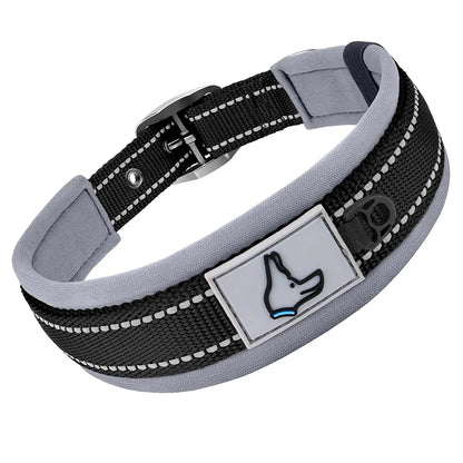 Sed9638dde8ff4f668c0c9ab2d18b6798w - bestdoggylife.shop