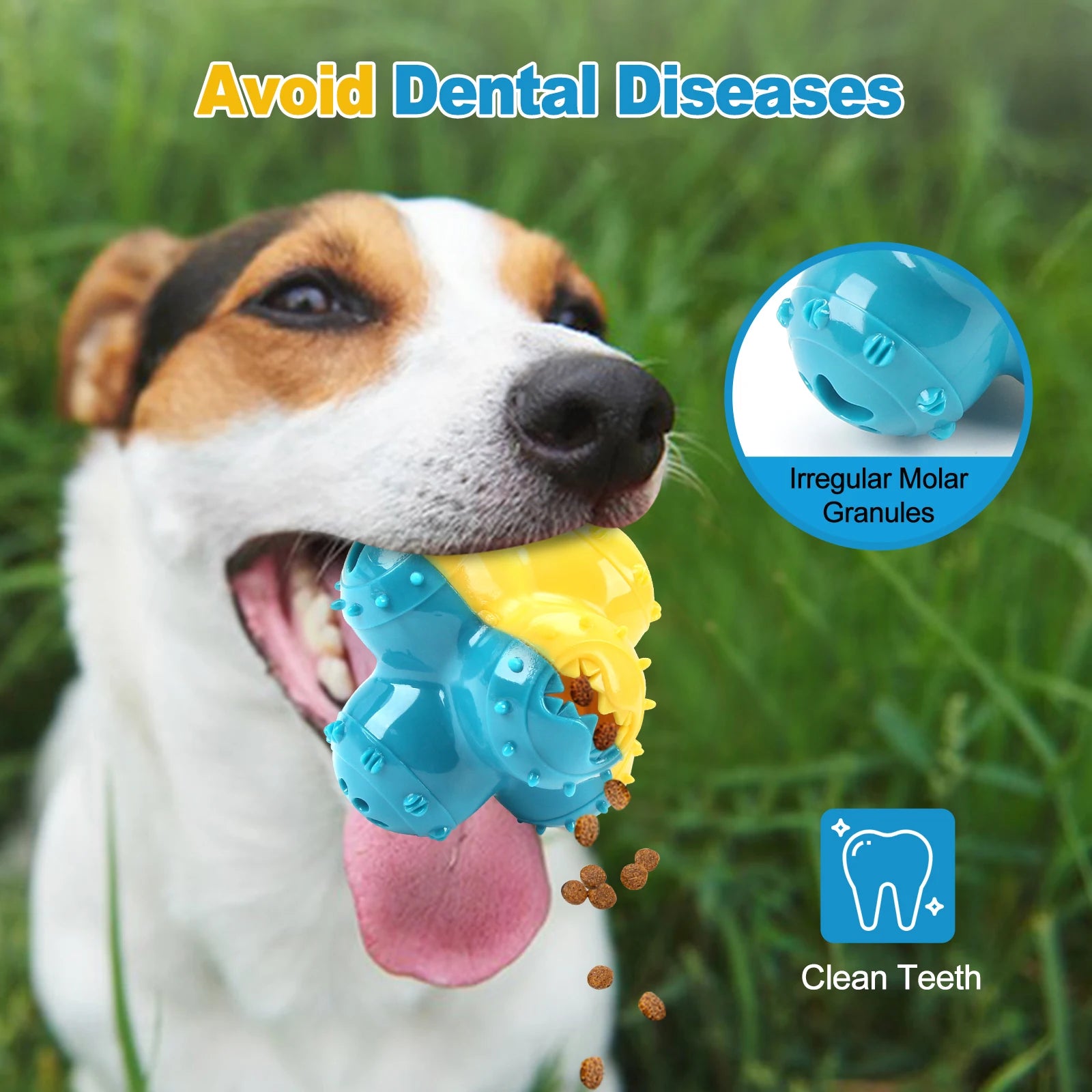 Dog chewing blue and yellow dental chew toy outdoors to clean teeth and prevent dental diseases