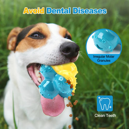 Dog chewing blue and yellow dental chew toy outdoors to clean teeth and prevent dental diseases