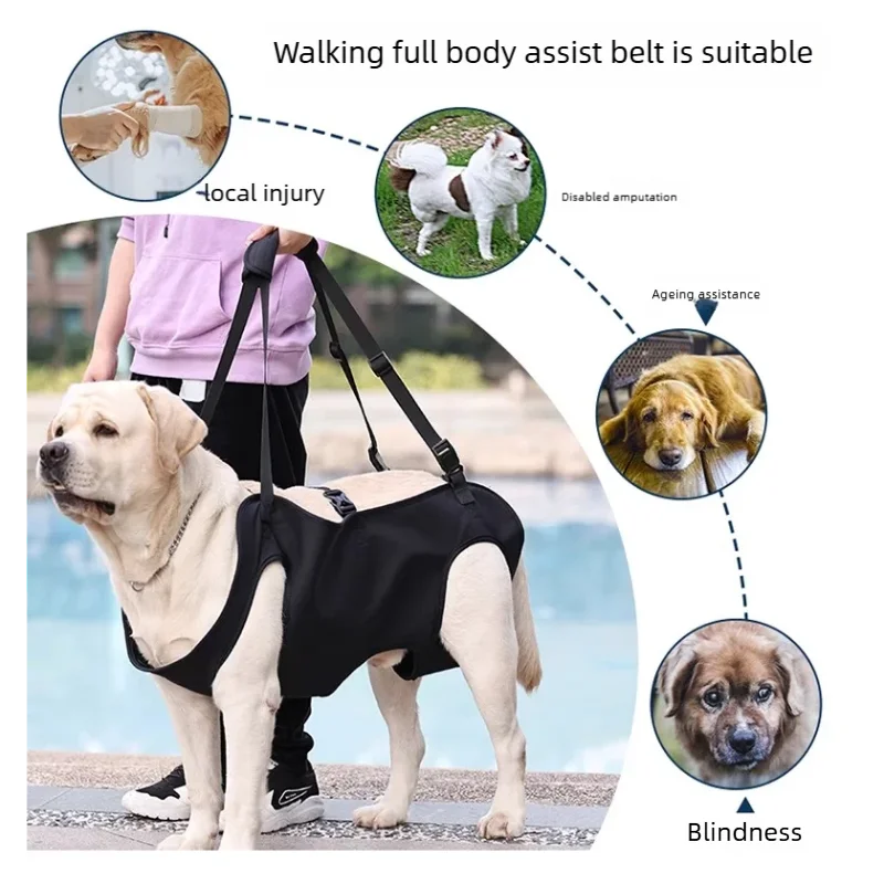 Dog wearing a full body assist harness, ideal for mobility support, injury, and senior dogs.