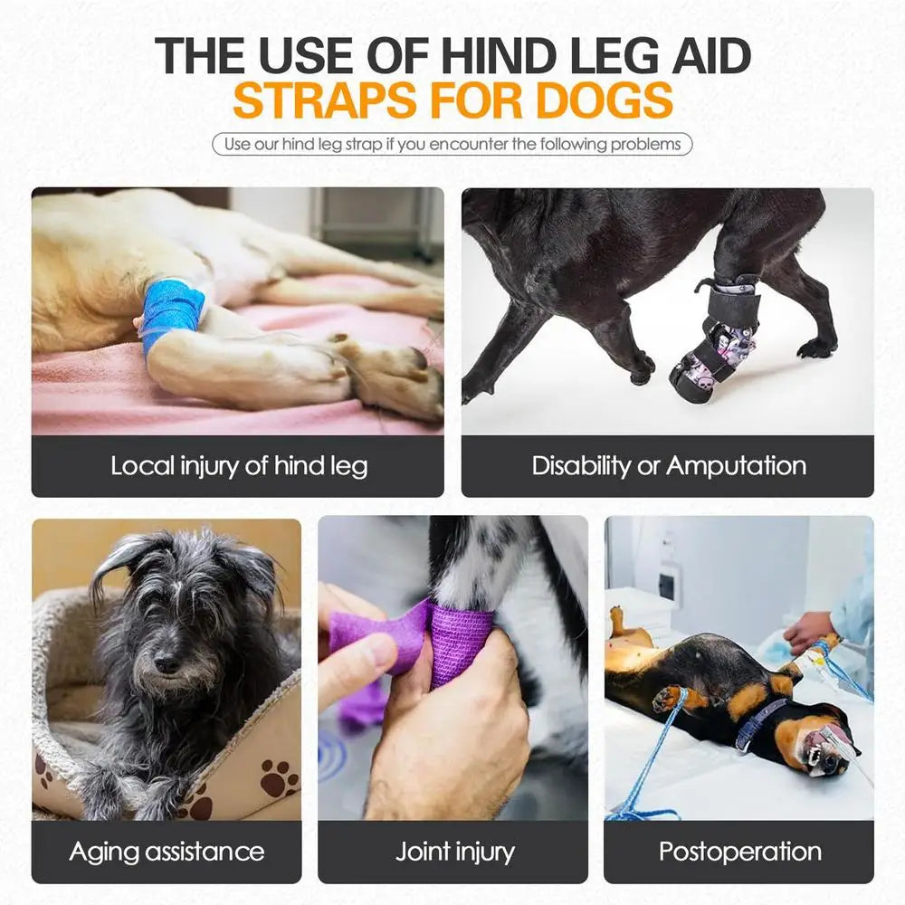 The use of hind leg aid straps for dogs addressing local injury, disability, aging assistance, joint injury, and postoperation.