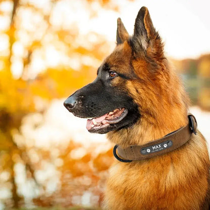 Personalized leather dog collar with engraved name ID tag for German Shepherd dogs, custom brown collar