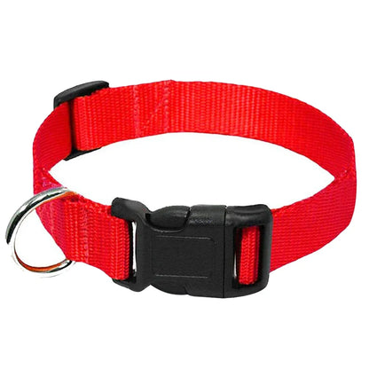 Red adjustable dog collar with D-ring, durable nylon quick release buckle pet collar for dogs, goats, sheep, and horses