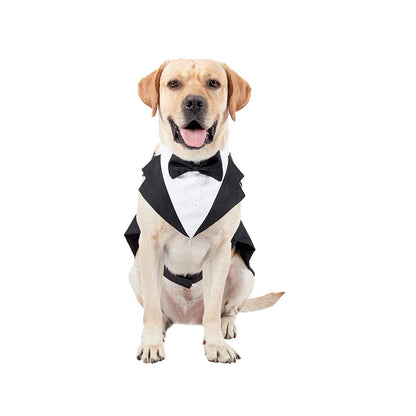 Sefb4f924ddfb49da88ab388ded838ecda - bestdoggylife.shop