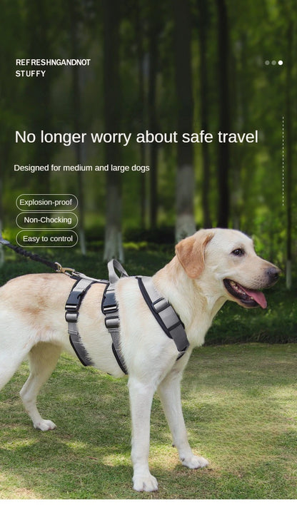 Large yellow dog wearing a durable gray harness in a green outdoor park setting