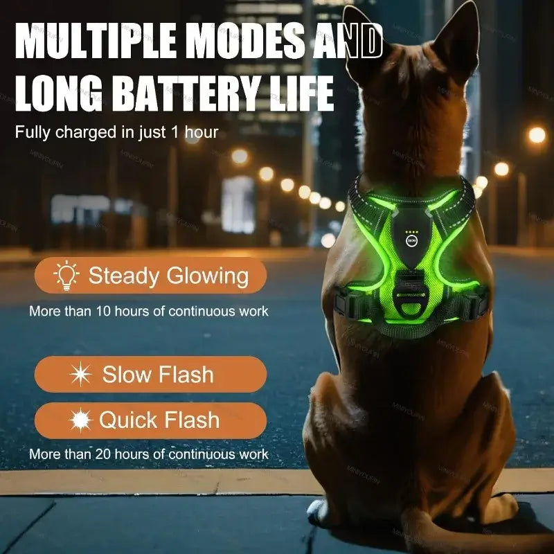 LED dog harness for night walking with multiple light modes, rechargeable glowing vest for safe nighttime dog walks