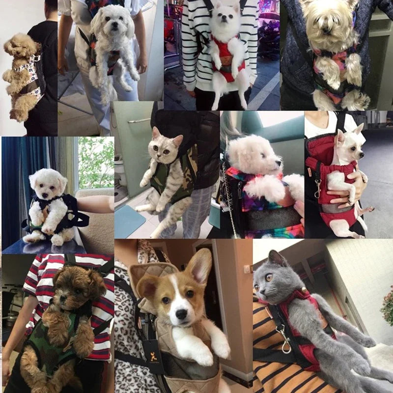 pet backpack carrier for small dogs for carrying small pets in a canvas front and back travel backpack