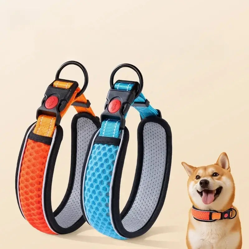 Dog collar with adjustable padded nylon design in orange and blue for puppies and small dogs