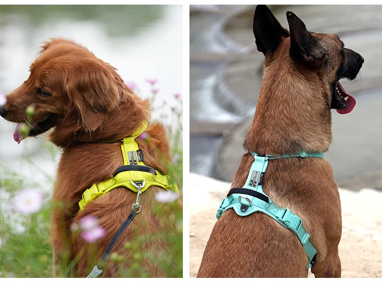 Reflective no pull dog harness set for large dogs, adjustable padded vest collar and leash set for training and control