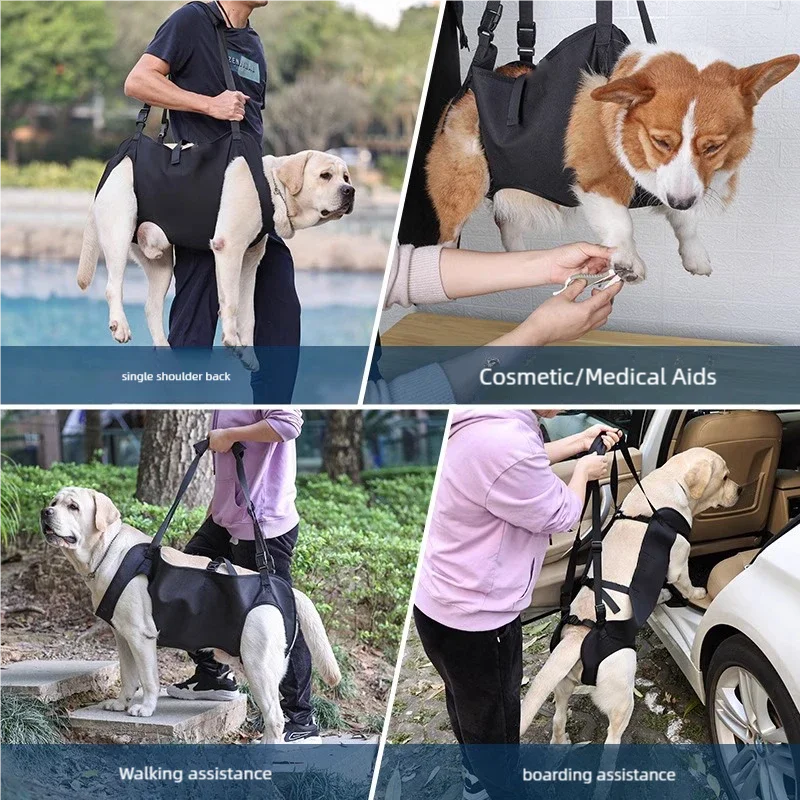 Dog lift harness used for carrying, walking, grooming, and car boarding assistance