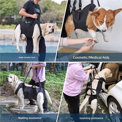 Dog lift harness used for carrying, walking, grooming, and car boarding assistance