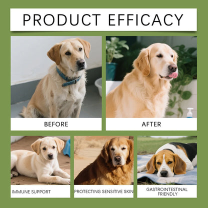 Collage of healthy dogs showing before and after product use, immune support, sensitive skin protection, and gastrointestinal friendly benefits.