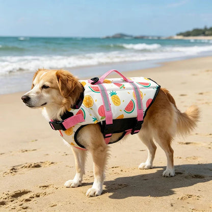 reflective adjustable dog life jacket for large dogs, colorful buoyant swim safety vest on a beach
