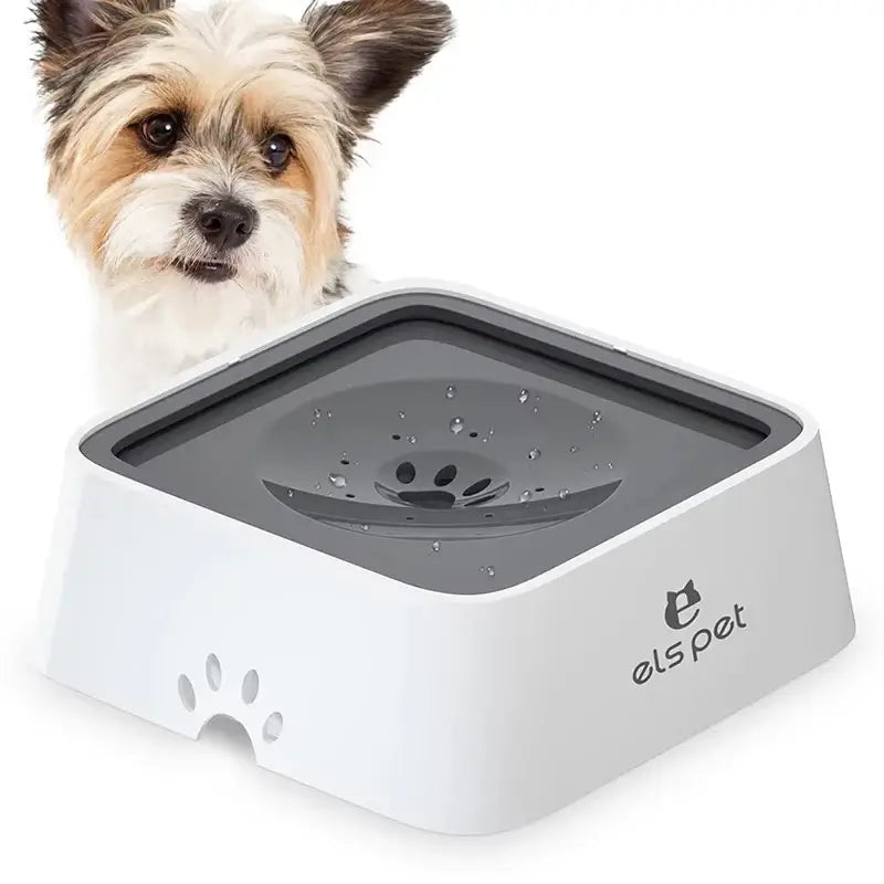no-spill dog water bowl splash-proof slow feeder pet drinking bowl with anti-splash design for dogs