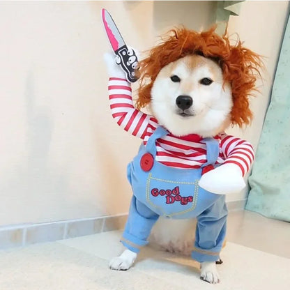 Shiba Inu dog in funny striped costume with red wig, blue overalls, holding toy knife