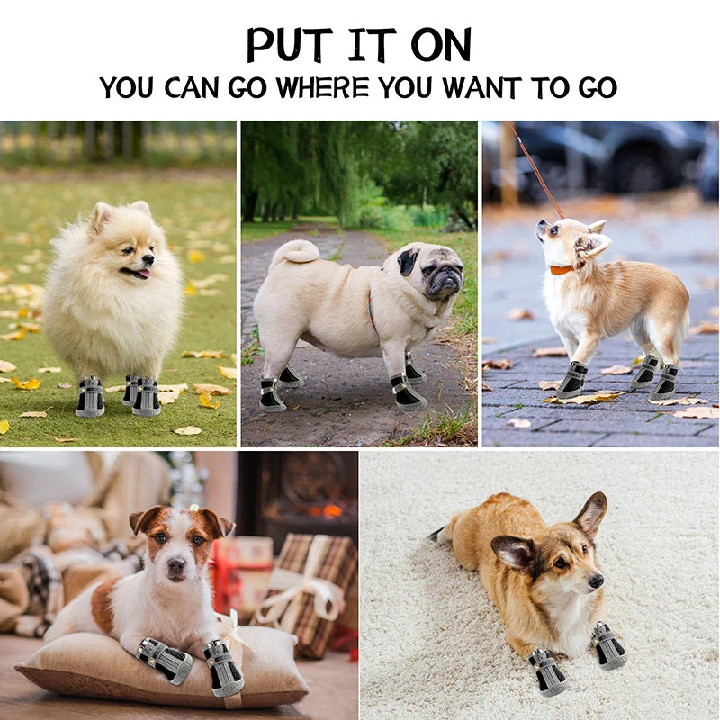 Sf30bee73a77d4f928aecb15c93e05265i - bestdoggylife.shop