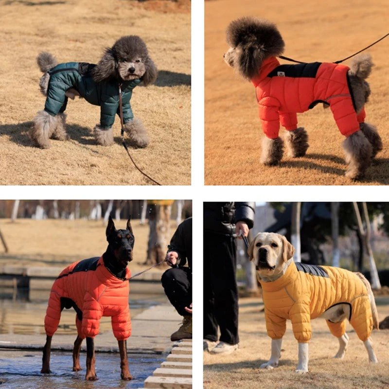 Sf32f5191b4d7497995d9e4ef1b3cc50ap_d8096ca3-97d4-43bd-b6eb-3223bfff563a - bestdoggylife.shop