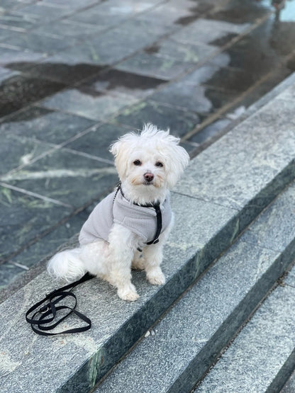Sf3b37ea7cc074c4ab82e66f5158e1d1fO - bestdoggylife.shop