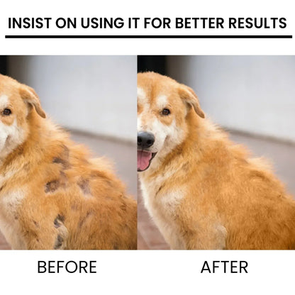 dog hair loss supplement for pets, before and after fur regrowth, safe non-toxic treatment for dogs and s