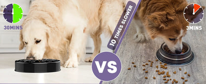 slow feeder dog bowl for dogs, shown in a 10 times slower feeding comparison with anti-gulping design