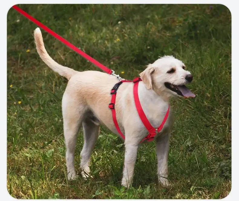 Adjustable dog harness for dogs, lightweight red H-shaped harness with leash for safe outdoor walking and travel