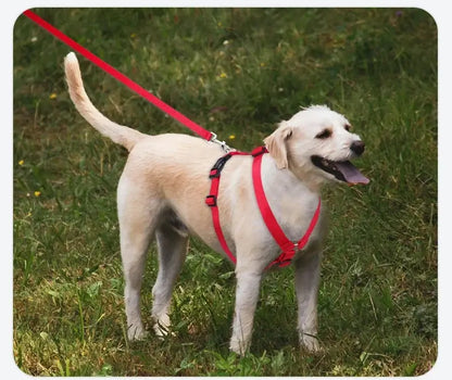 Adjustable dog harness for dogs, lightweight red H-shaped harness with leash for safe outdoor walking and travel