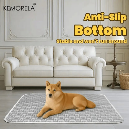 Sf51aa04edb7647e48726c4e0915e95bcx_a452d859-2661-4f1a-9d51-7a2c4567aa14 - bestdoggylife.shop