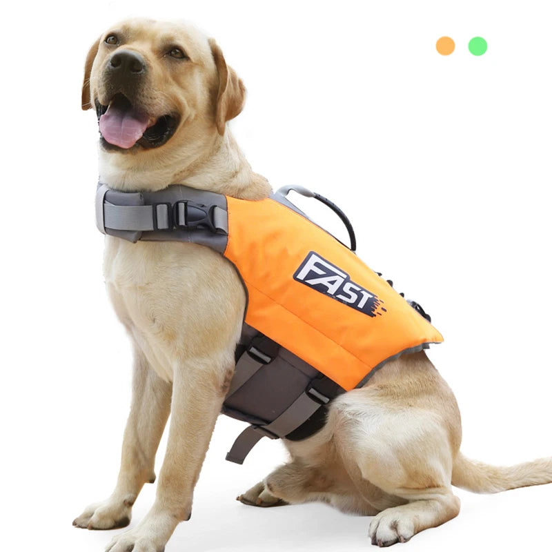 Orange dog life jacket with reflective straps on seated Labrador for pool, surfing, and drifting safety