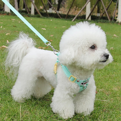puppy print dog harness and leash set for small dogs, cute adjustable soft padded vest in mint blue