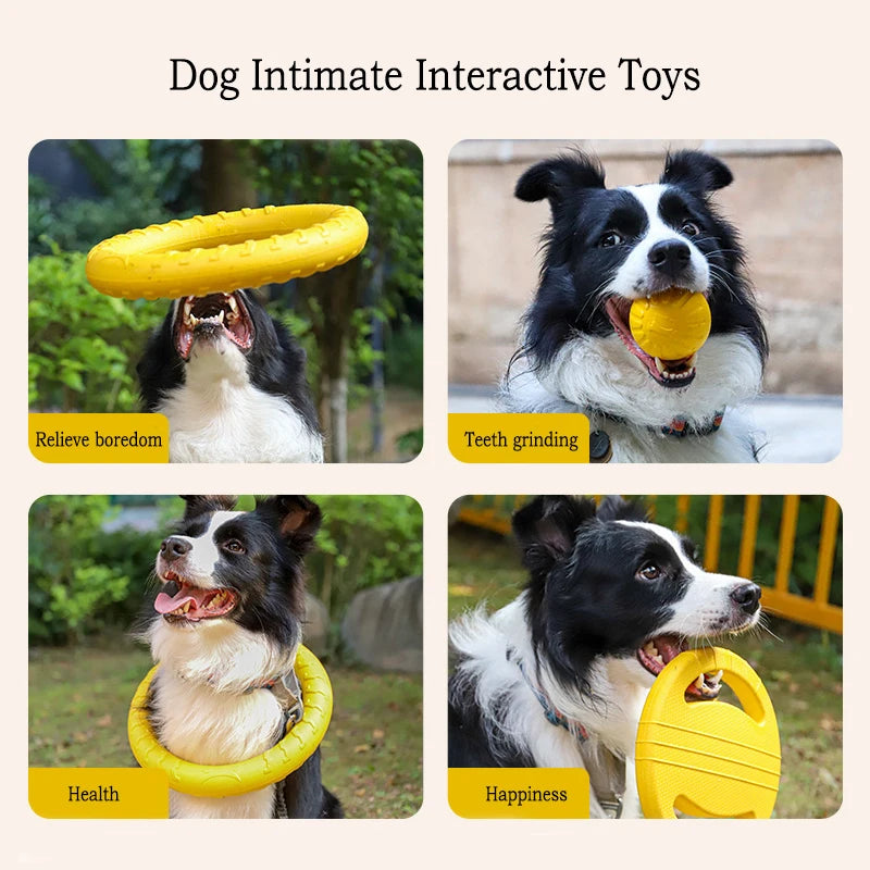 EVA Durable Dog Toys chew-proof set featuring interactive toys for health and happiness in dogs.