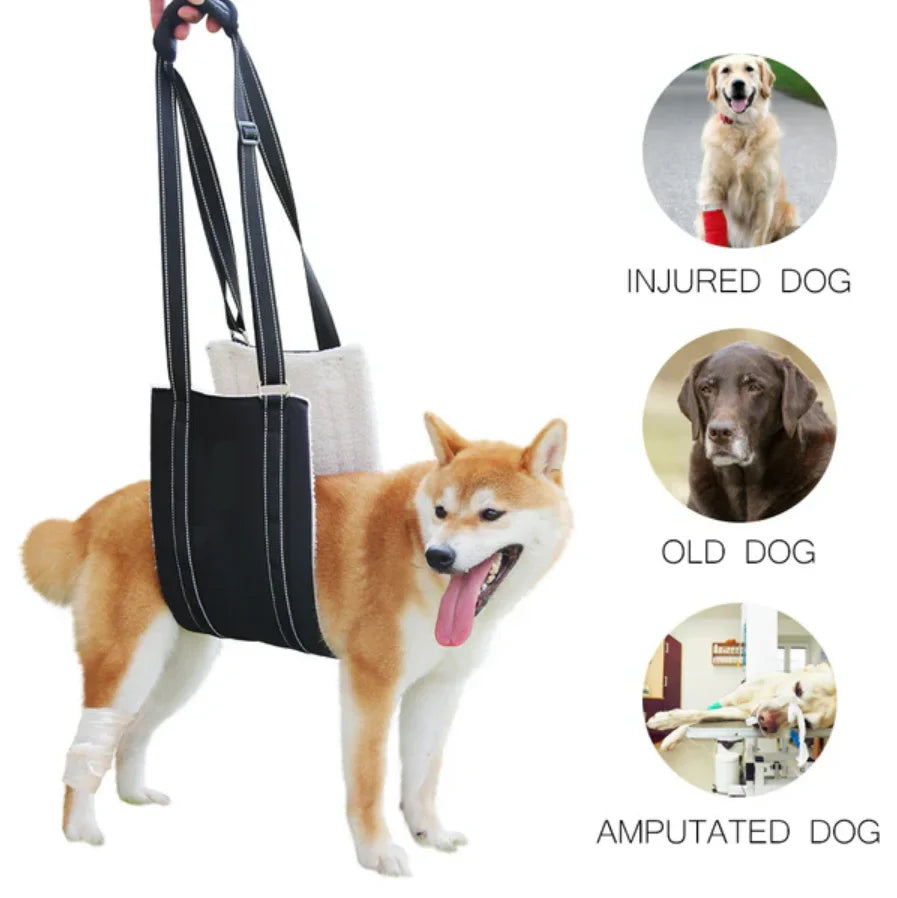 Sf7d9bac09a174be3957ec0479e1d440ag - bestdoggylife.shop