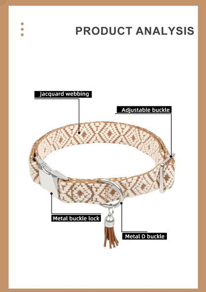 hands free dog leash with jacquard webbing, adjustable buckle, metal D buckle, and metal buckle lock for medium and large dogs