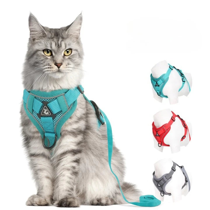 reflective cat harness and leash set for cats and small dogs, breathable mesh, adjustable teal pet harness