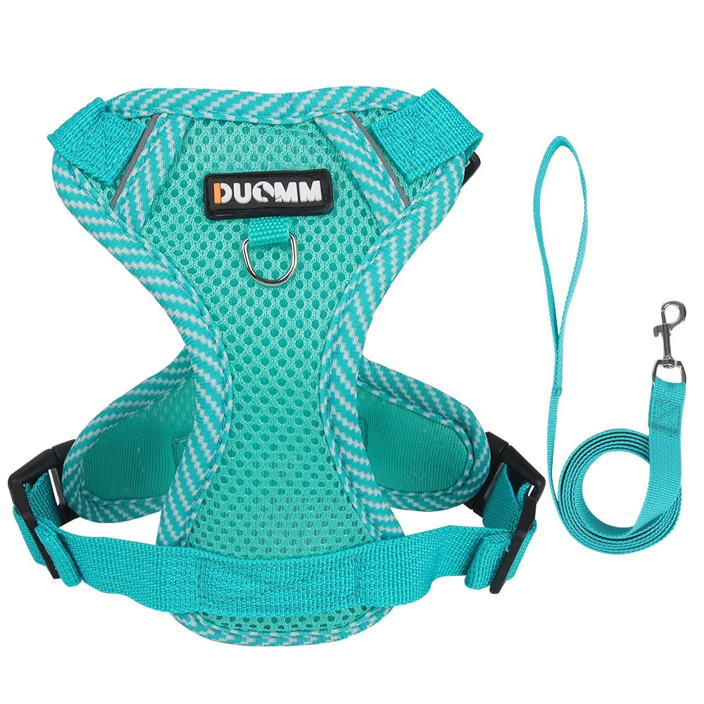 reflective cat harness and leash set breathable mesh teal nylon buckle harness for small dogs and kittens, color 9