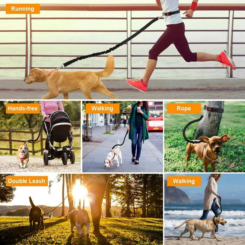 Sf9db77b54fc045b1b2040d43696557244 - bestdoggylife.shop