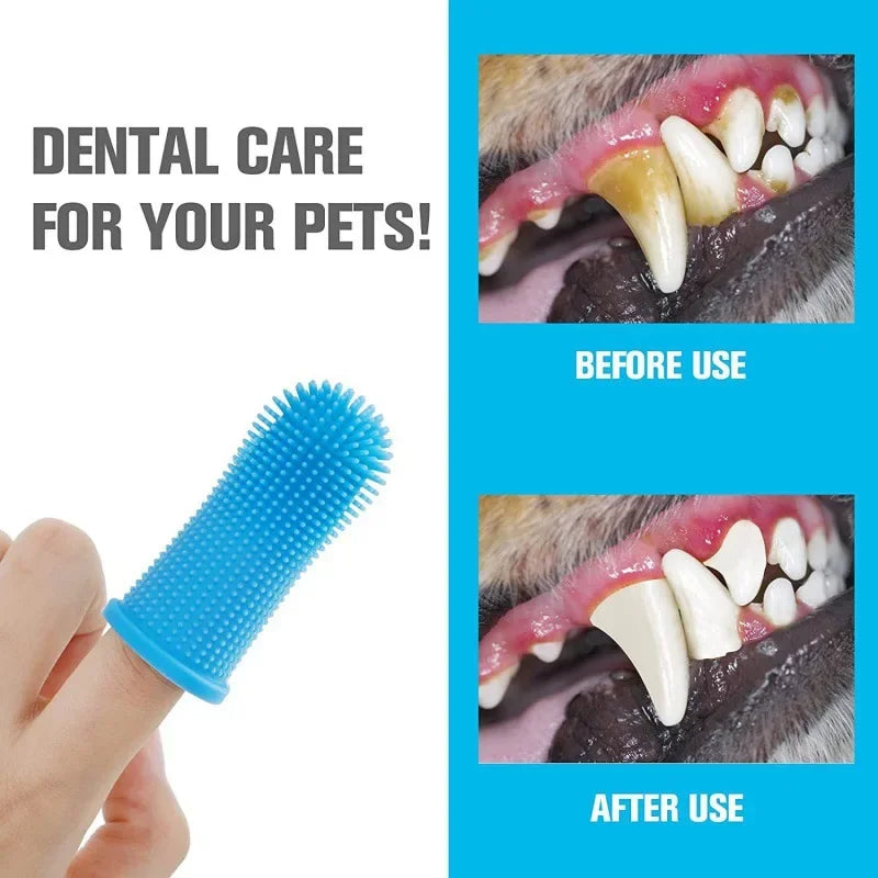 silicone finger toothbrush for dogs for pet dental care, blue toothbrush, before and after teeth cleaning