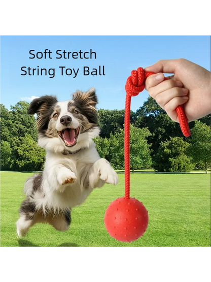 Dog jumping to catch a red soft stretch string toy ball in a grassy park