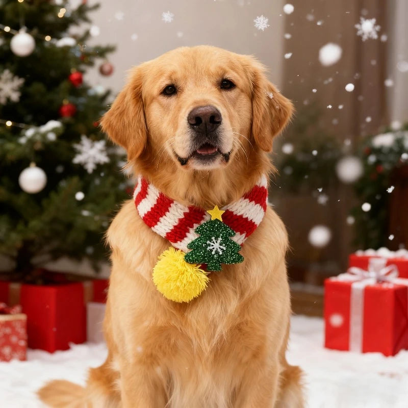 Sfaca846b59664e84960c44b640e58715c_b4ccfe75-be0a-48b0-9e60-a41c2405aa3f - bestdoggylife.shop