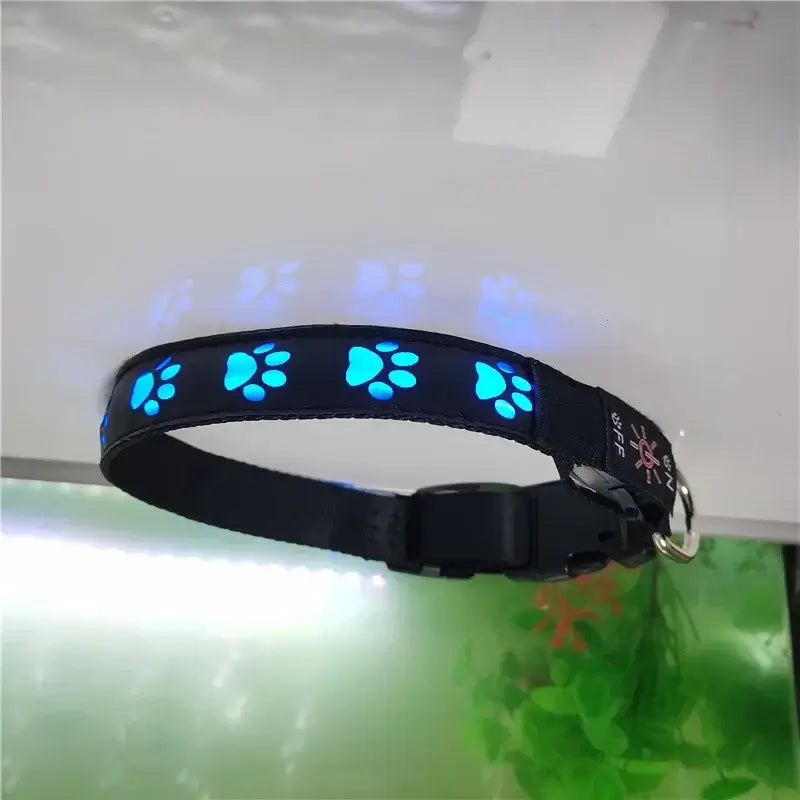 luminous safety dog collar with blue glowing paw print lights, reflective nylon breakaway pet collar for nighttime walking