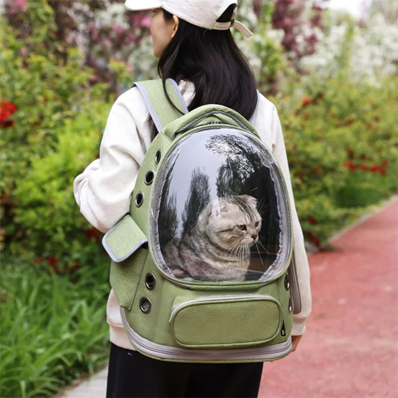 cat carrier backpack for outdoor travel, breathable transparent backpack with cat inside, portable pet carrier bag