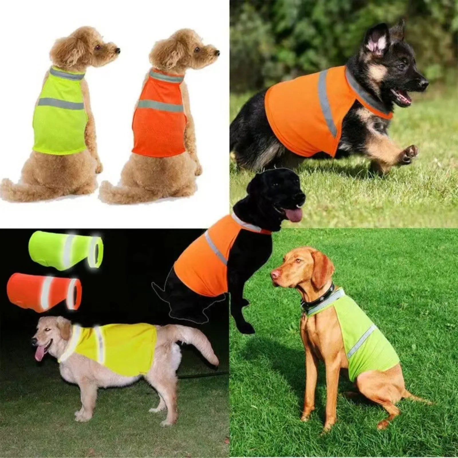 Dogs wearing reflective safety vests in neon yellow and orange on grass and white backgrounds