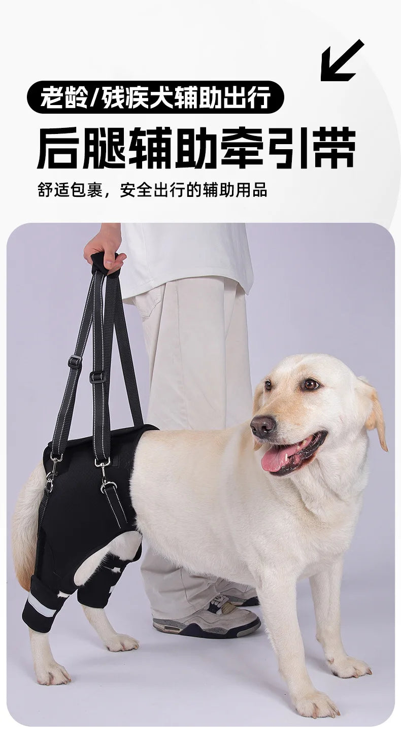 Sfb48b66d6e2b41d4a6319f4afc122ca7N - bestdoggylife.shop