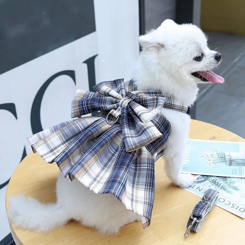 Small white dog in plaid pet dress with leash, blue and white bow outfit for summer fashion and small pets