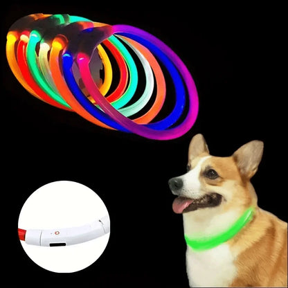 Sfba389c91d2f4ebd8d8baed238e1c495s - bestdoggylife.shop