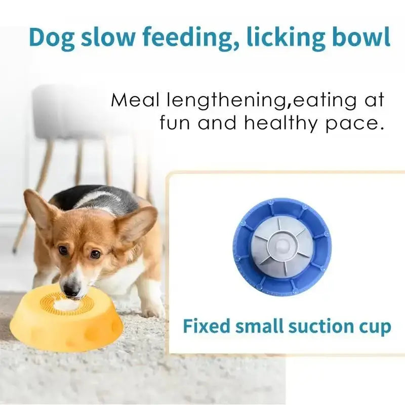Corgi using slow feeder dog bowl for slow feeding, anti-overflow licking and healthy meal pacing