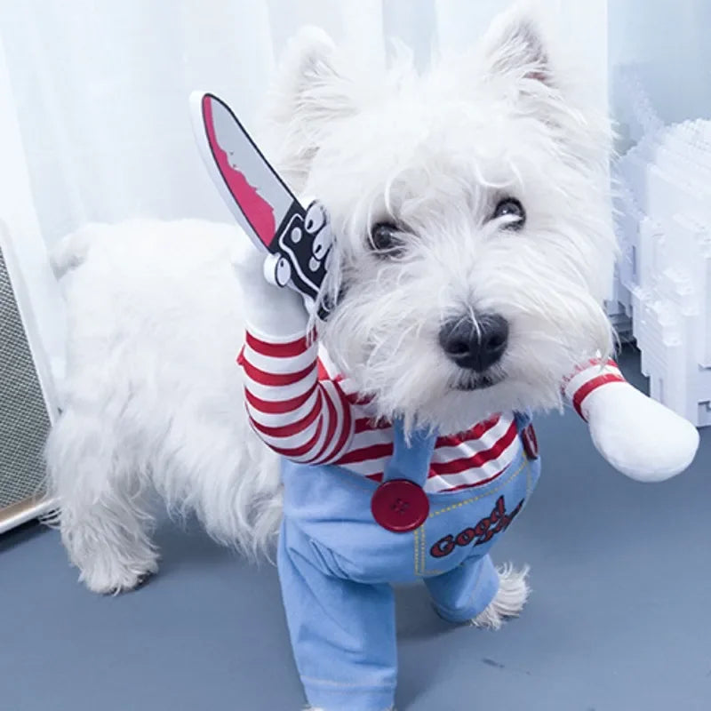 White dog in funny blue overalls and red striped costume, holding plush knife dog toy.