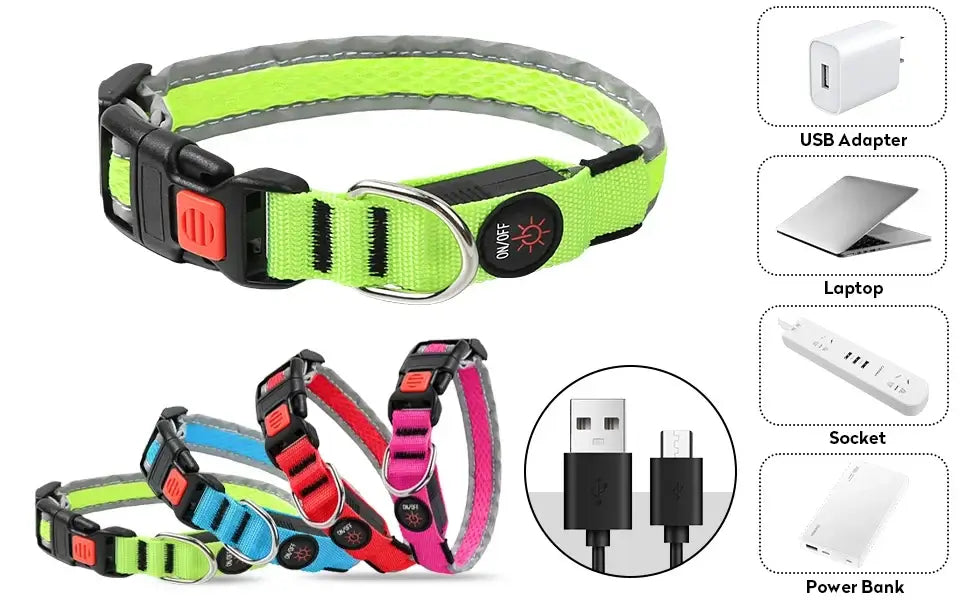 USB rechargeable LED dog collar with RGB 7 colors, adjustable luminous nylon pet safety collar for small and medium dogs