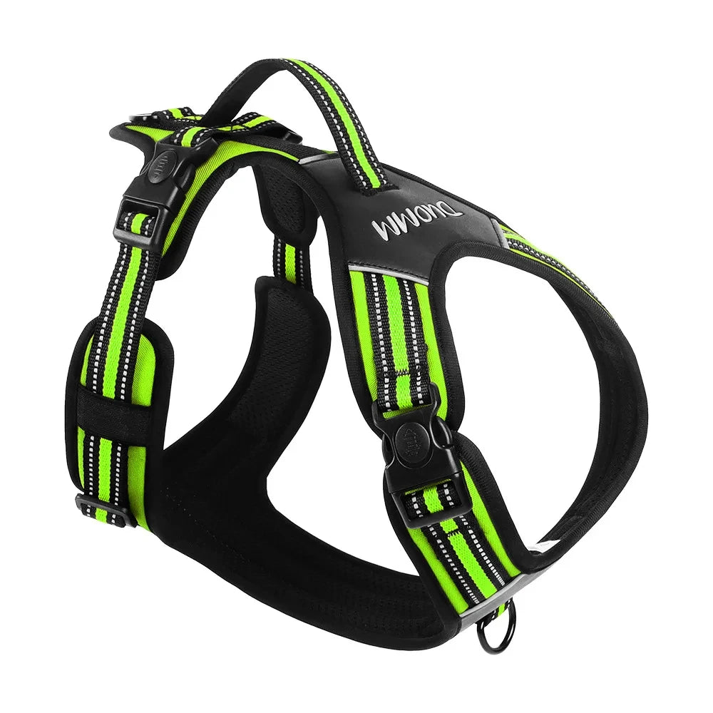 Sfda24ec45eba4f9ebfe6a77dce4ca2a7n - bestdoggylife.shop